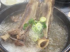 -莲洞本家