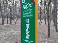 -林海公园