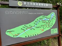 -茅兰沟国家森林公园
