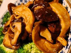 -裕.鹅庄