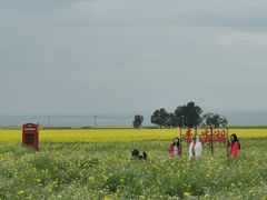 -青海湖国家重点风景名胜区