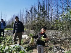 -前小桔亲子创意农场·草莓采摘·露营烧烤