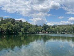 -老三羊汤【北兴隆街店】