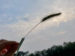 -崔记生活·铁锅炖鱼粘卷子(总店)