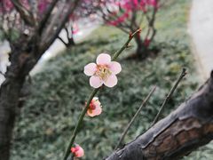 -山东大学(趵突泉校区)