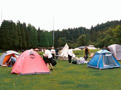 -武陵山森林公园