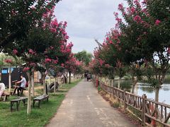 -武汉紫薇都市田园