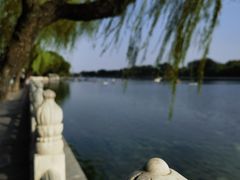 -后海公园