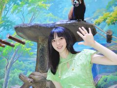 -海合安成都极地海洋公园