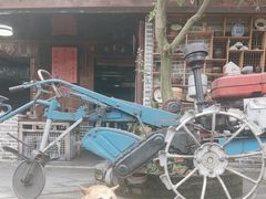 -青城甲(青城山店)