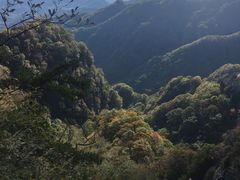 -王顺山国家森林公园