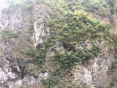 -太鲁阁公园