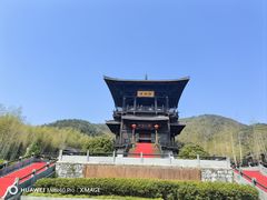 -大唐贡茶院