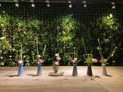 -三亚湾红树林度假世界(木棉酒店)