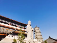 -天津大悲禅院