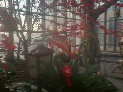 -悦隆庄温泉度假酒店