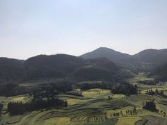 -牛街螺丝田