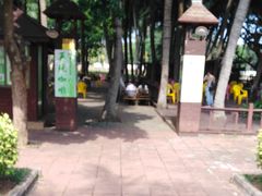 -万绿园