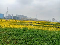 -三圣花乡旅游区