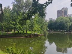 -长白岛森林公园