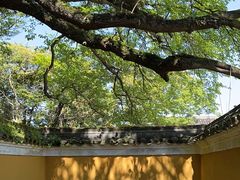 -普陀山风景区-佛顶山