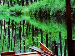 -合肥滨湖国家森林公园