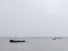 -大湾区中央湿地公园