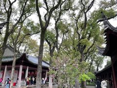 -天一阁博物院
