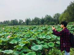 -白鹭湾湿地公园