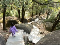 -火炉山森林公园