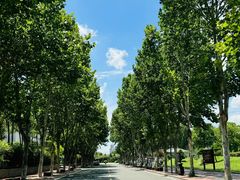 -陈家山荷花公园