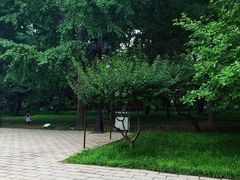 -玲珑塔公园