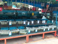 -南庄酒家·海鲜粤菜·25年老字号(环城南路店)