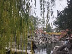 -乌镇东栅景区