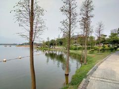 -飞来湖湿地公园