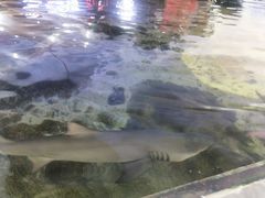 -鸿通城购物中心