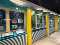 -上海昆虫博物馆