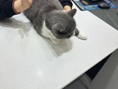 -派特宠物医院(圆融广场店)