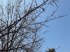 -绿堤公园