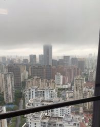 -智美品质医美