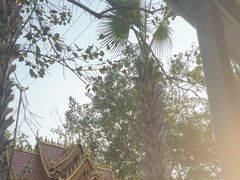 -西双版纳傣族园