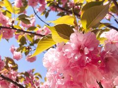 -UNI UNI(环亚凯瑟琳店)