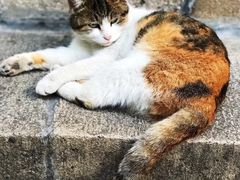 -巴金故居