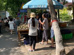 -马文章胖子甑糕(洒金桥店)