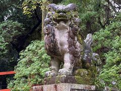 -奈良公园