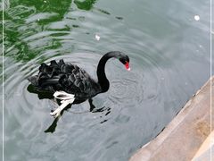 -石家庄市动物园