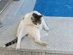 -江南大学(蠡湖校区)