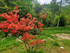 -姑婆山旅游区