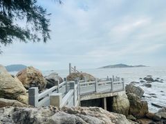 -宋井风景区
