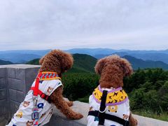 -白草畔自然风景区